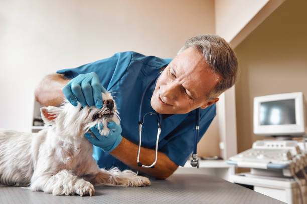 Best Walk-In Emergency Dental Services in Pompton Lakes, NJ